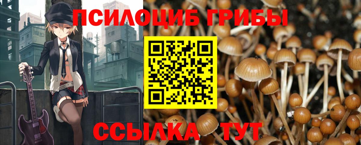 Псилоцибиновые грибы MAGIC MUSHROOMS  Вход с VPN  Коркино 